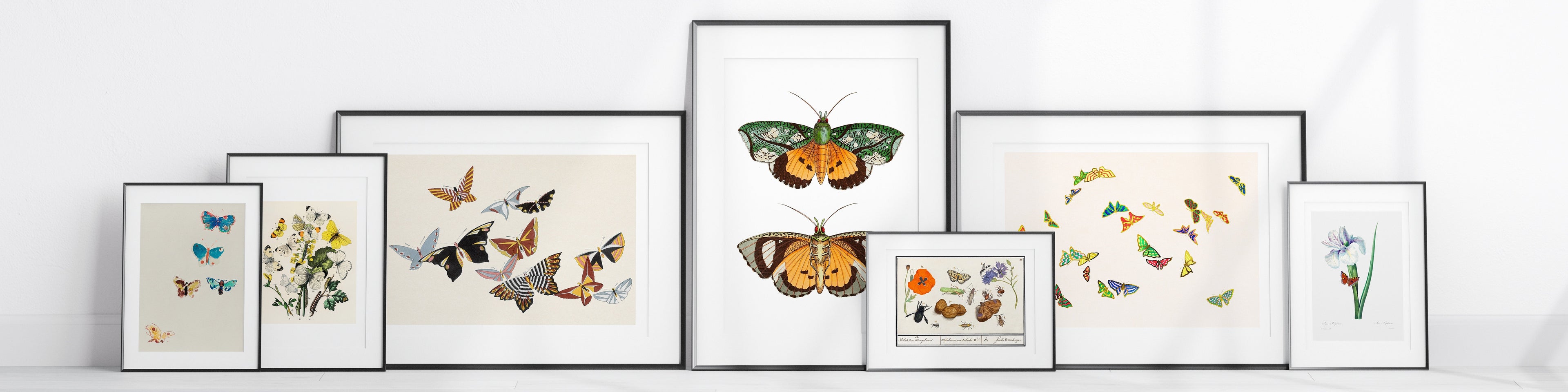 Butterflies & Insects - Piccolo Fiore Prints