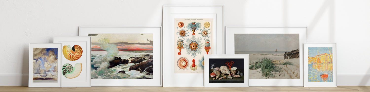 Coastal - Piccolo Fiore Prints