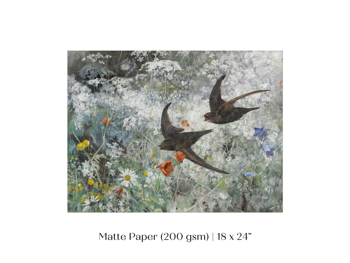 Common Swifts and Wildflowers | P442