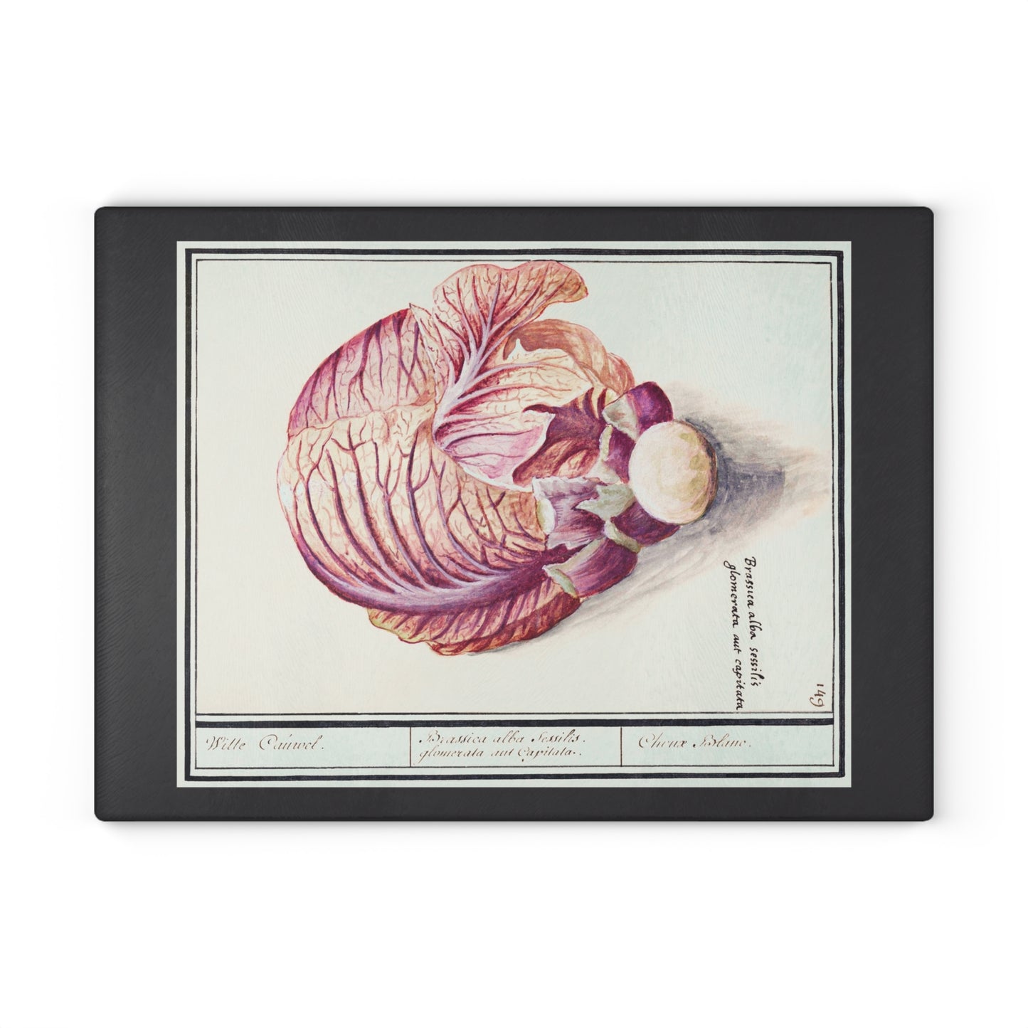 Cabbage | Glass Chopping Board