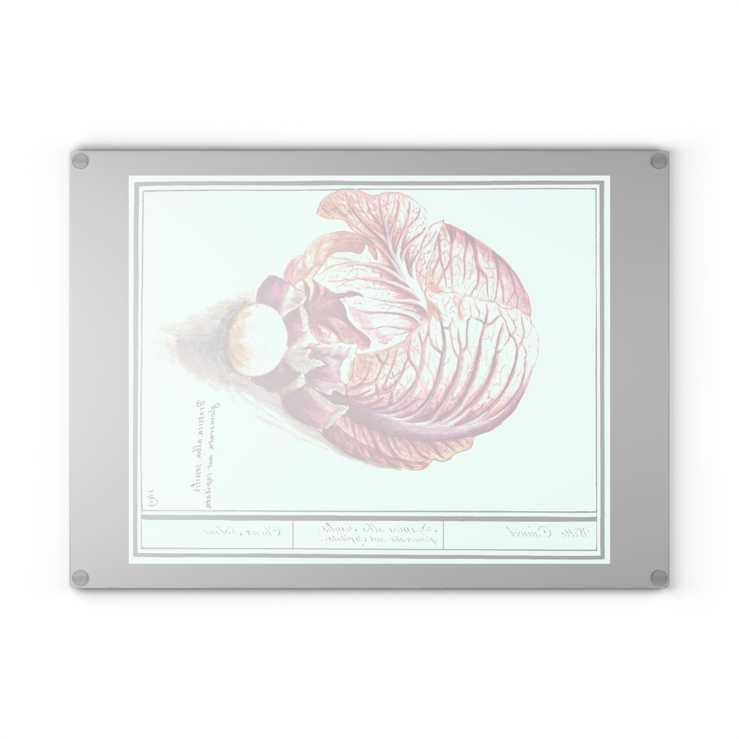Cabbage | Glass Chopping Board