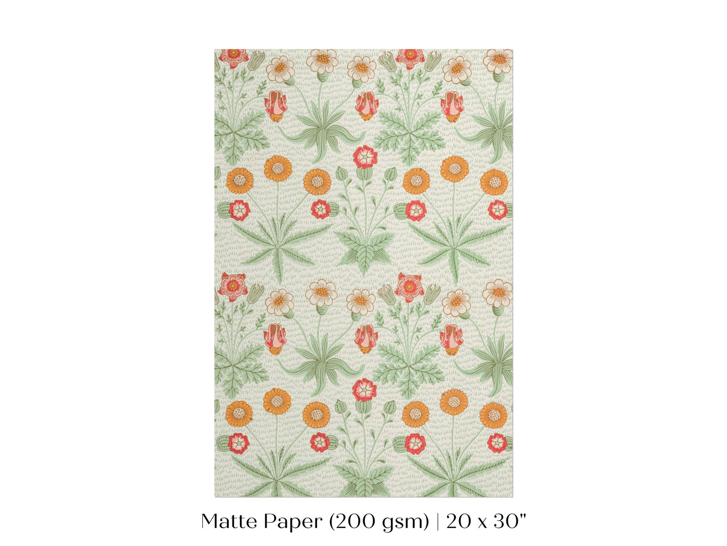 Daisy | William Morris | P285