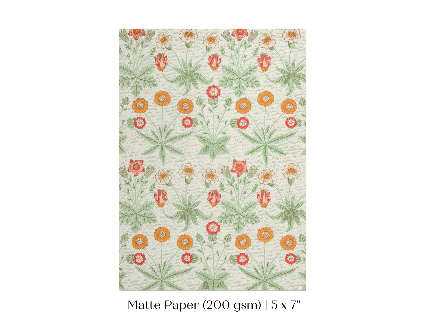 Daisy | William Morris | P285