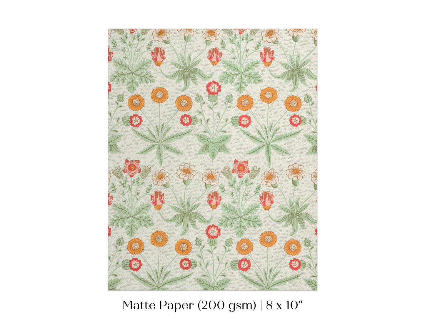 Daisy | William Morris | P285