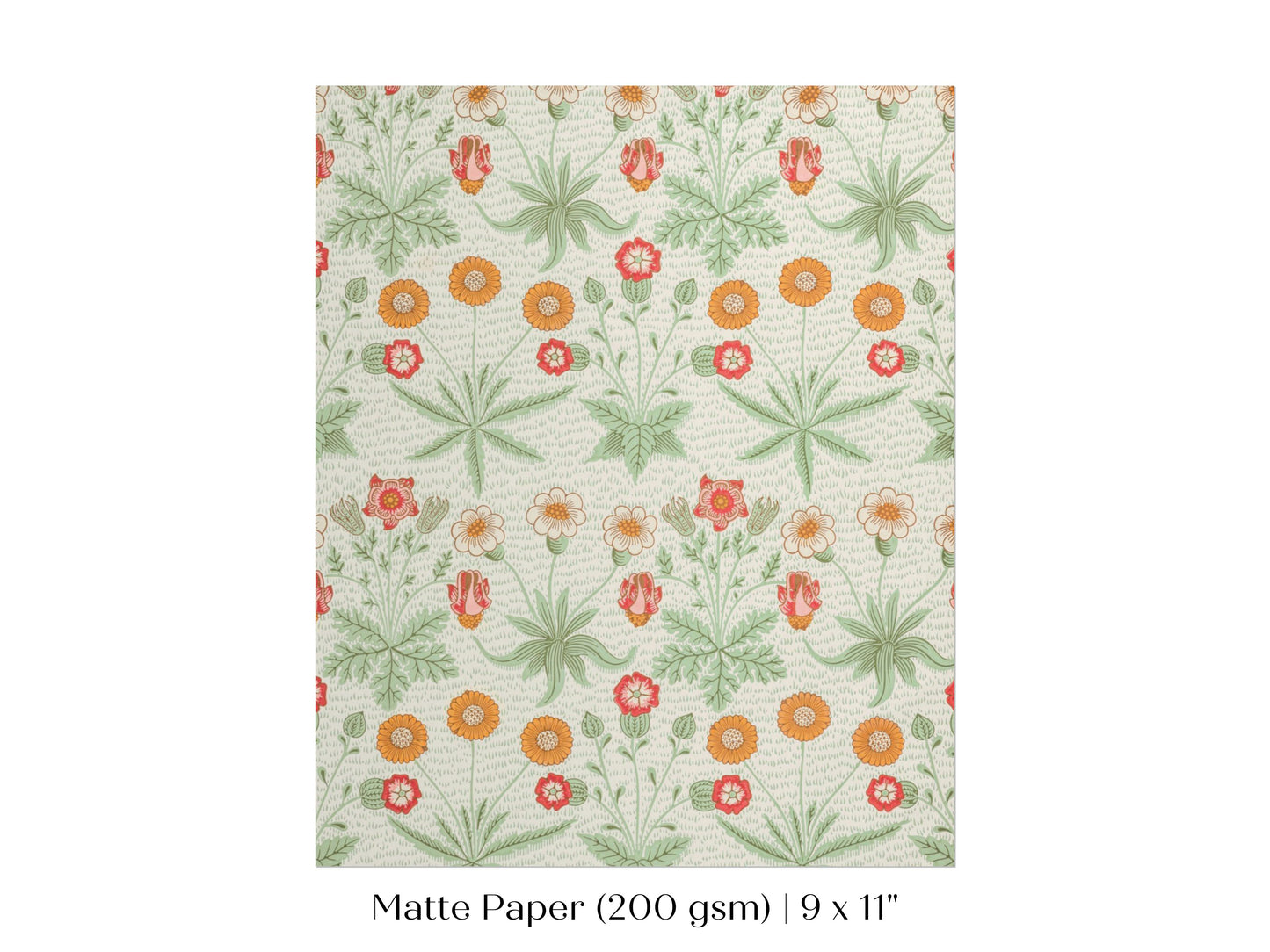 Daisy | William Morris | P285