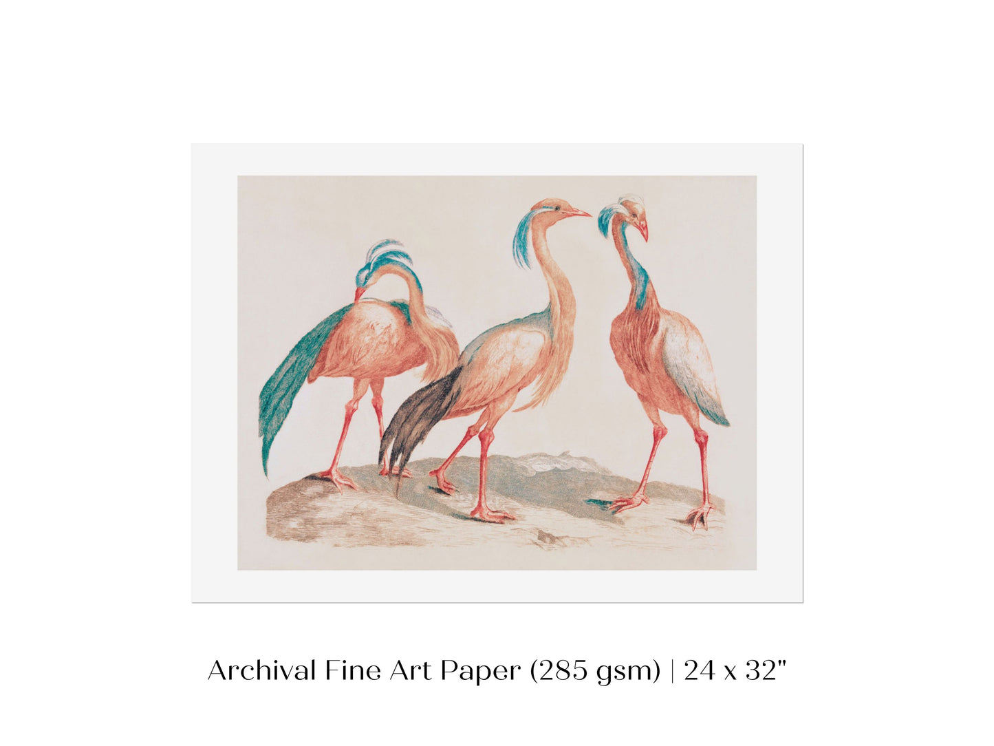 Pink Cranes | P173