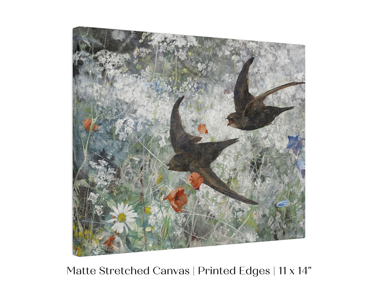 Common Swifts and Wildflowers | P442