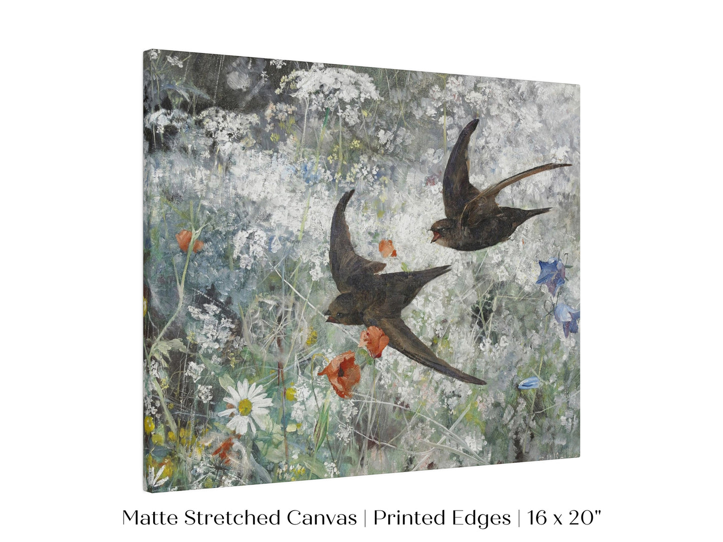 Common Swifts and Wildflowers | P442