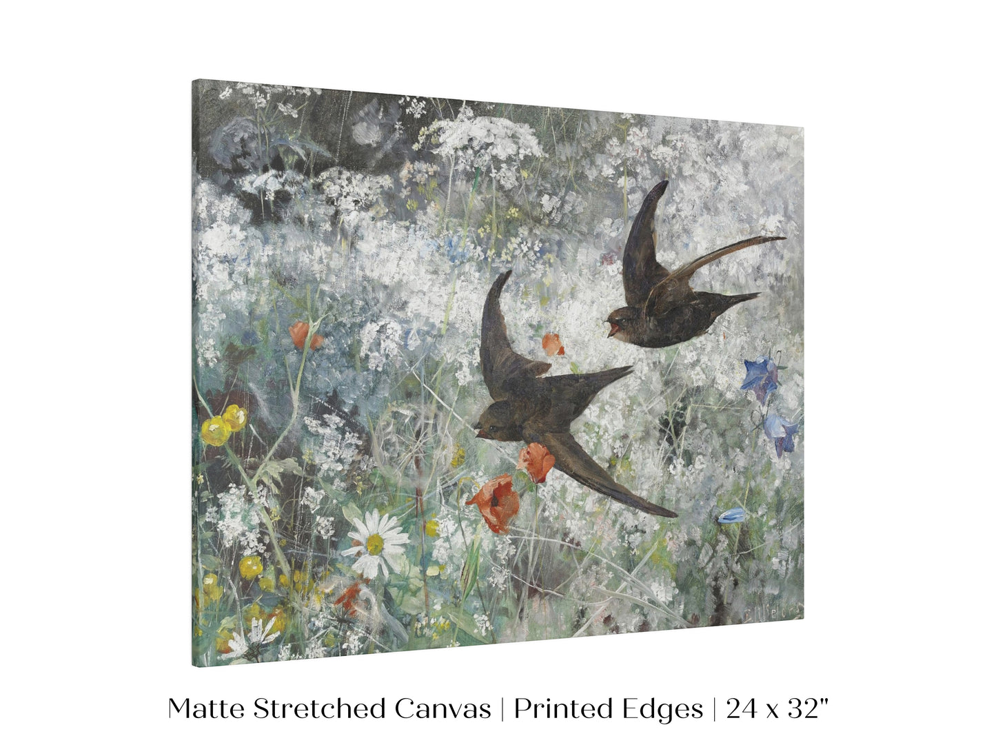 Common Swifts and Wildflowers | P442