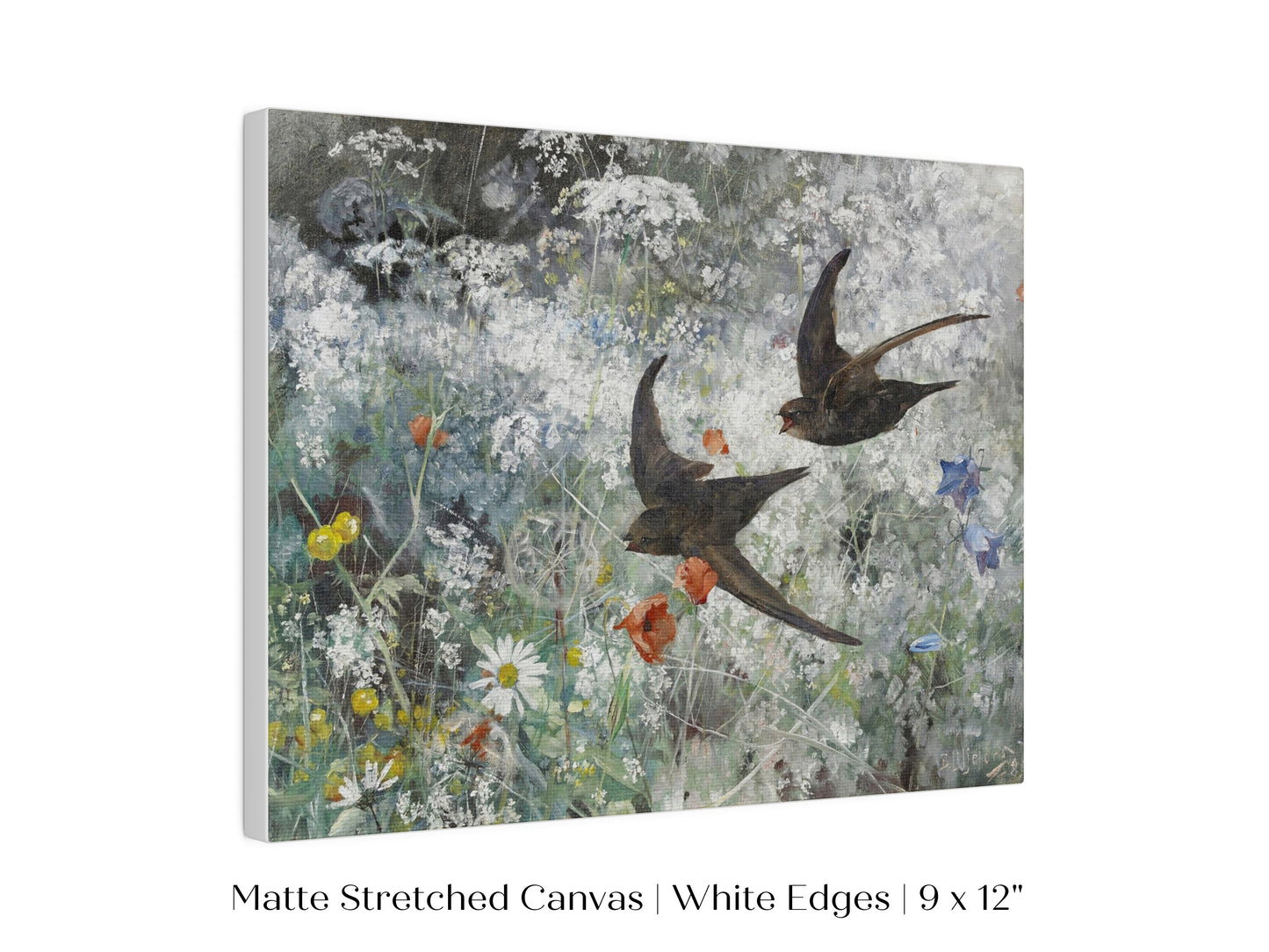 Common Swifts and Wildflowers | P442