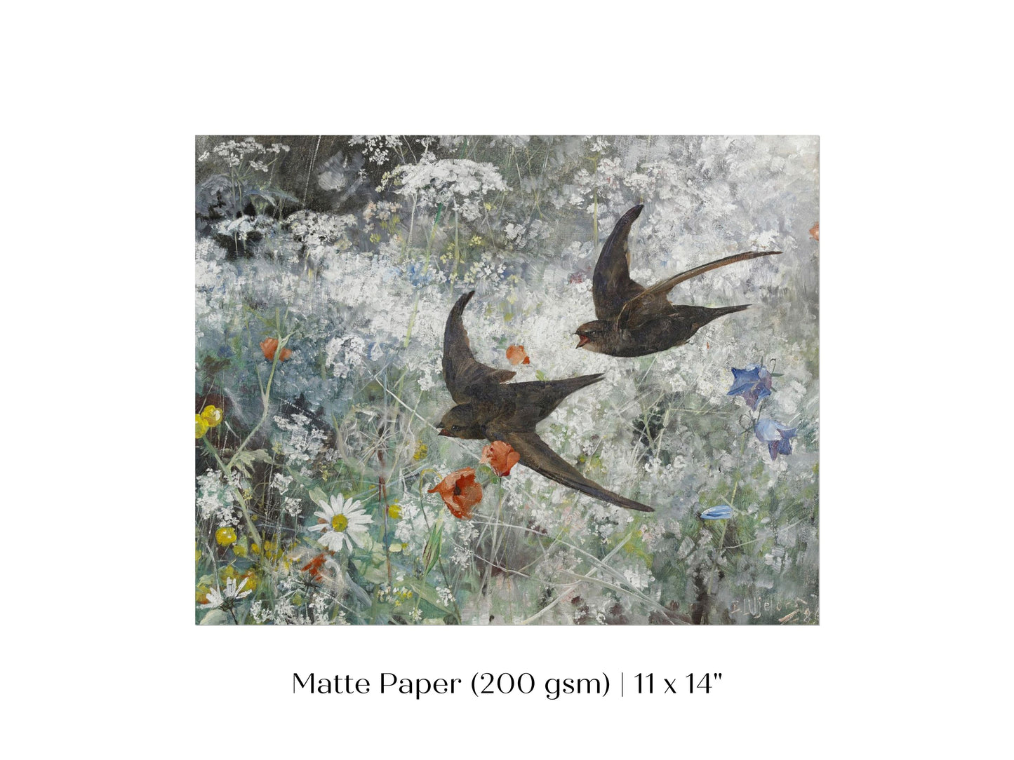 Common Swifts and Wildflowers | P442