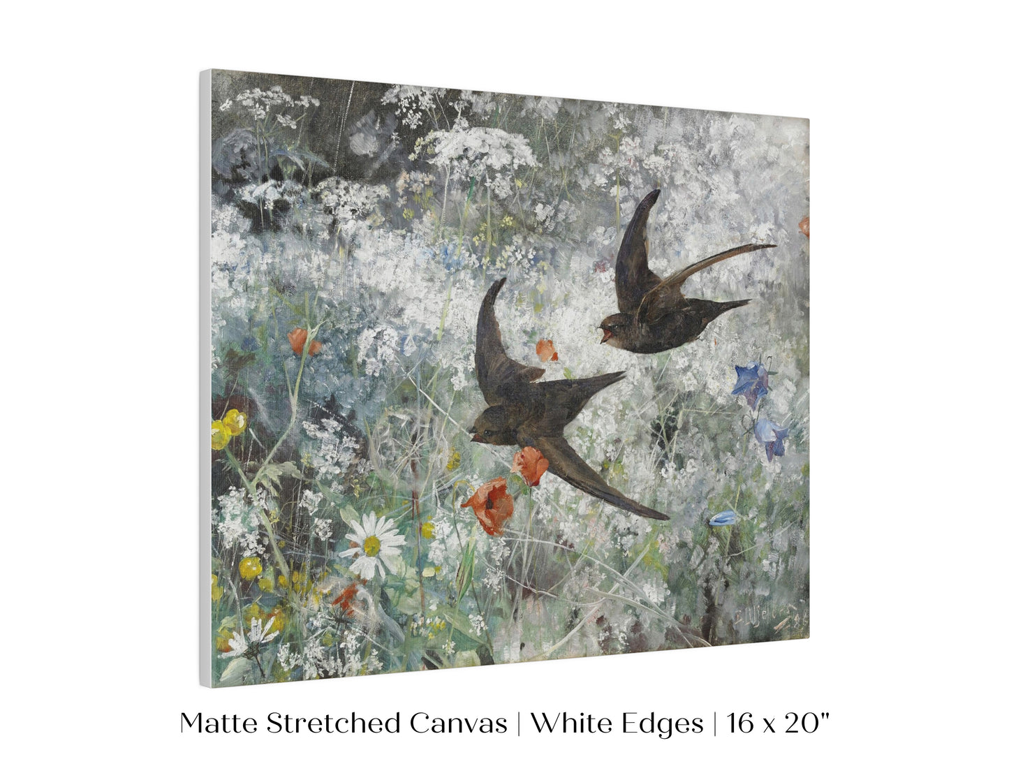 Common Swifts and Wildflowers | P442