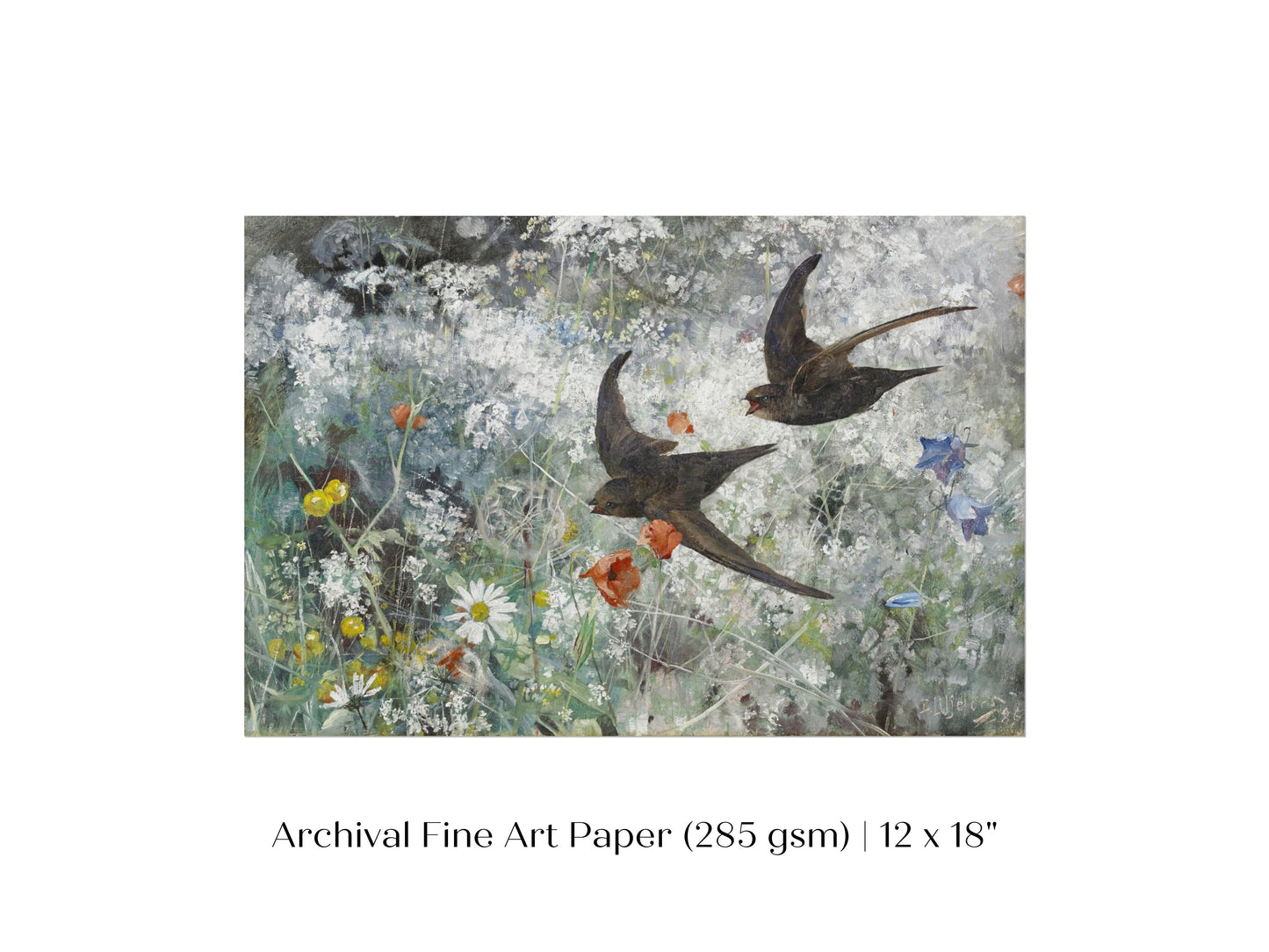 Common Swifts and Wildflowers | P442