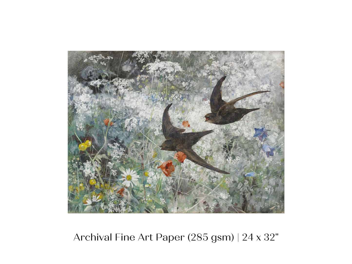 Common Swifts and Wildflowers | P442