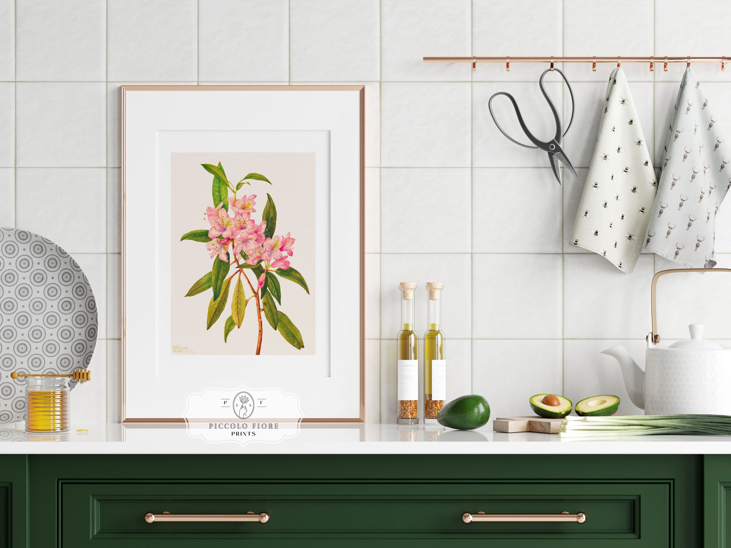 Pink Rose Bay Rhododendron Illustration | P178