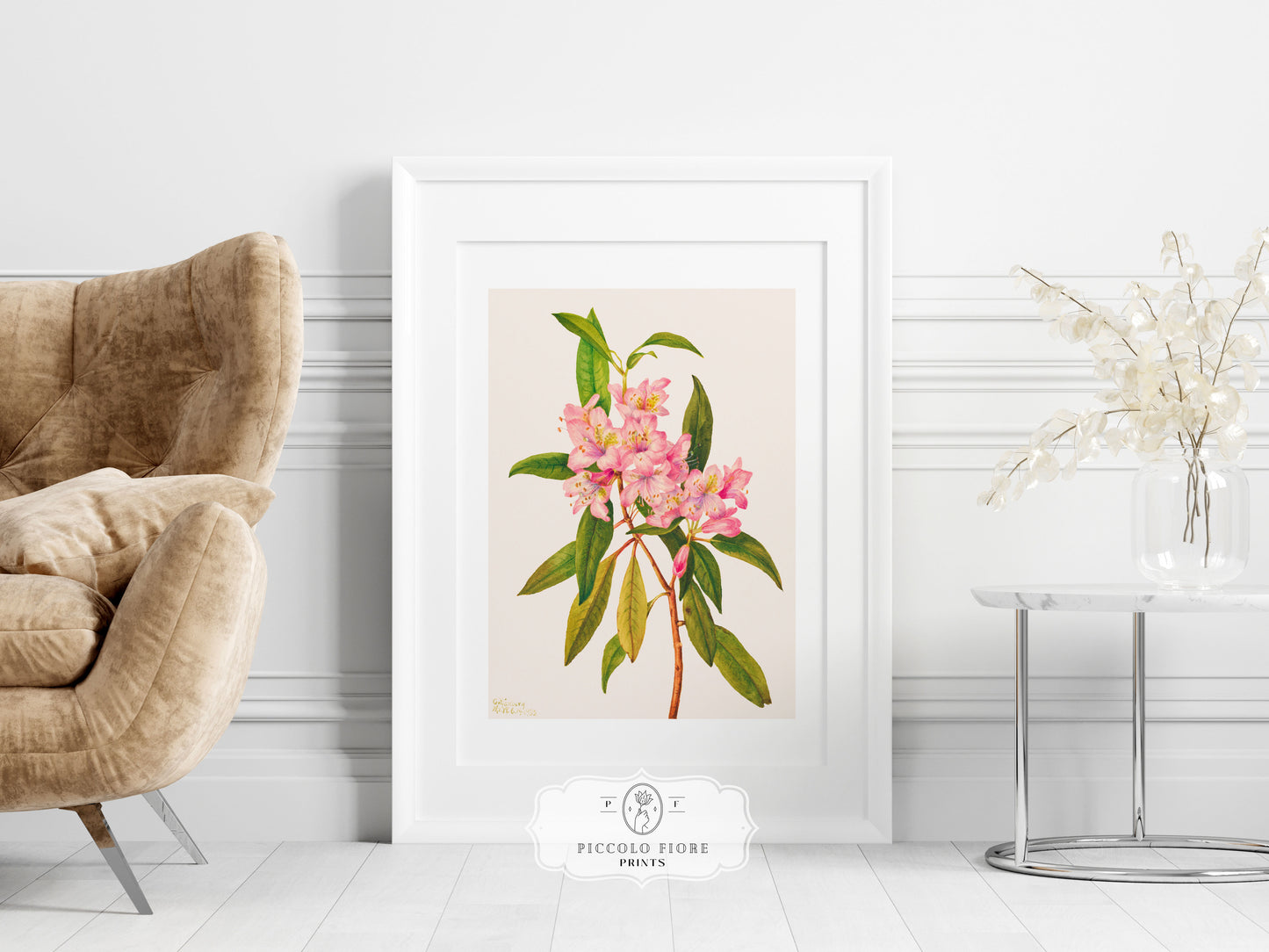 Pink Rose Bay Rhododendron Illustration | P178