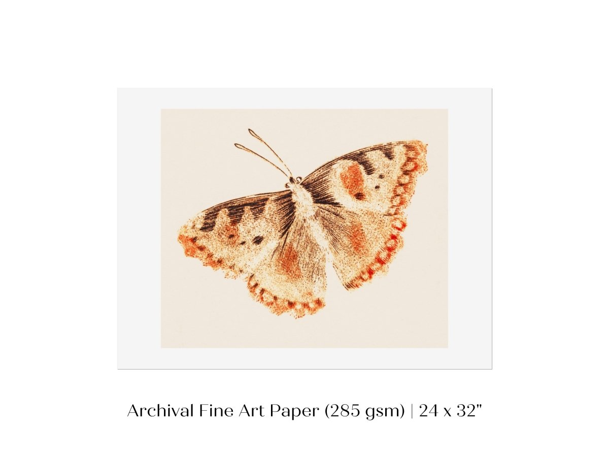 A Butterfly | P82 - Single Art Prints - Piccolo Fiore Prints