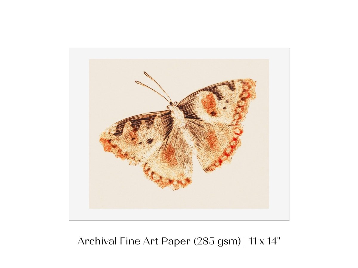 A Butterfly | P82 - Single Art Prints - Piccolo Fiore Prints
