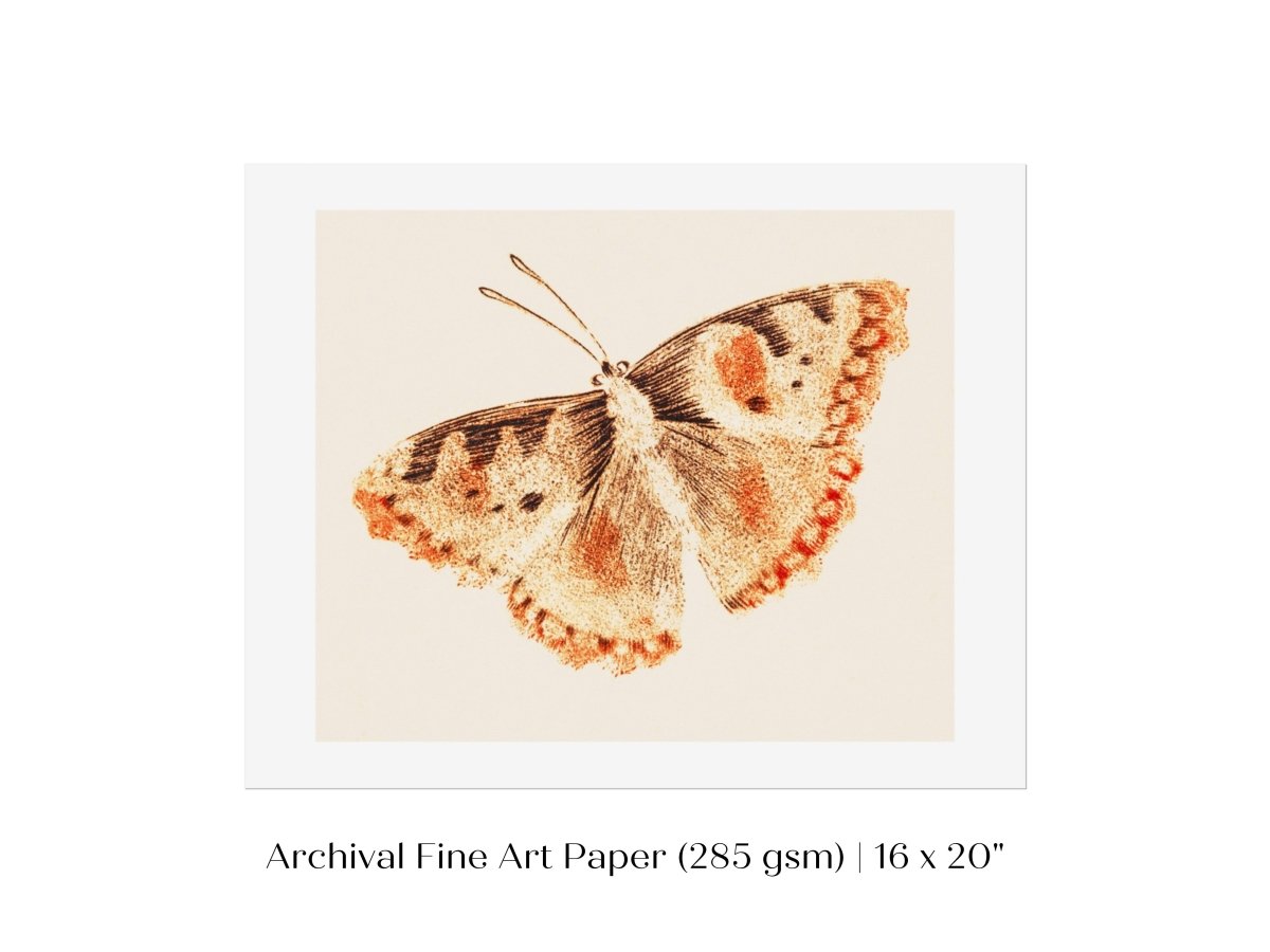 A Butterfly | P82 - Single Art Prints - Piccolo Fiore Prints