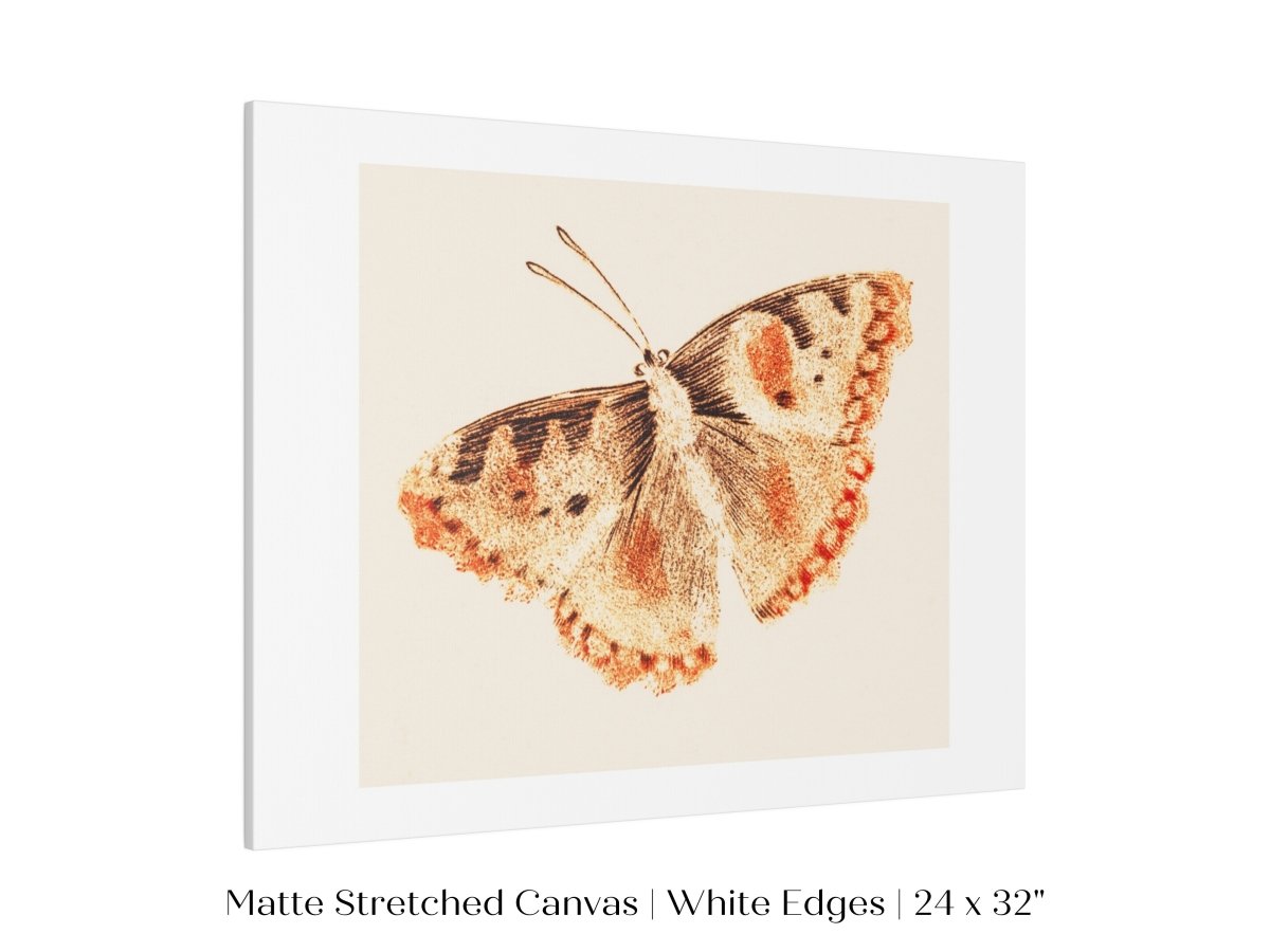 A Butterfly | P82 - Single Art Prints - Piccolo Fiore Prints