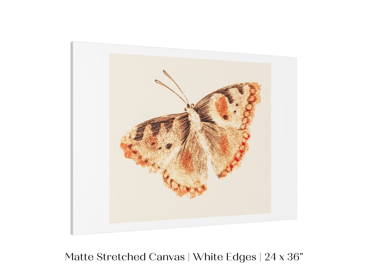 A Butterfly | P82 - Single Art Prints - Piccolo Fiore Prints