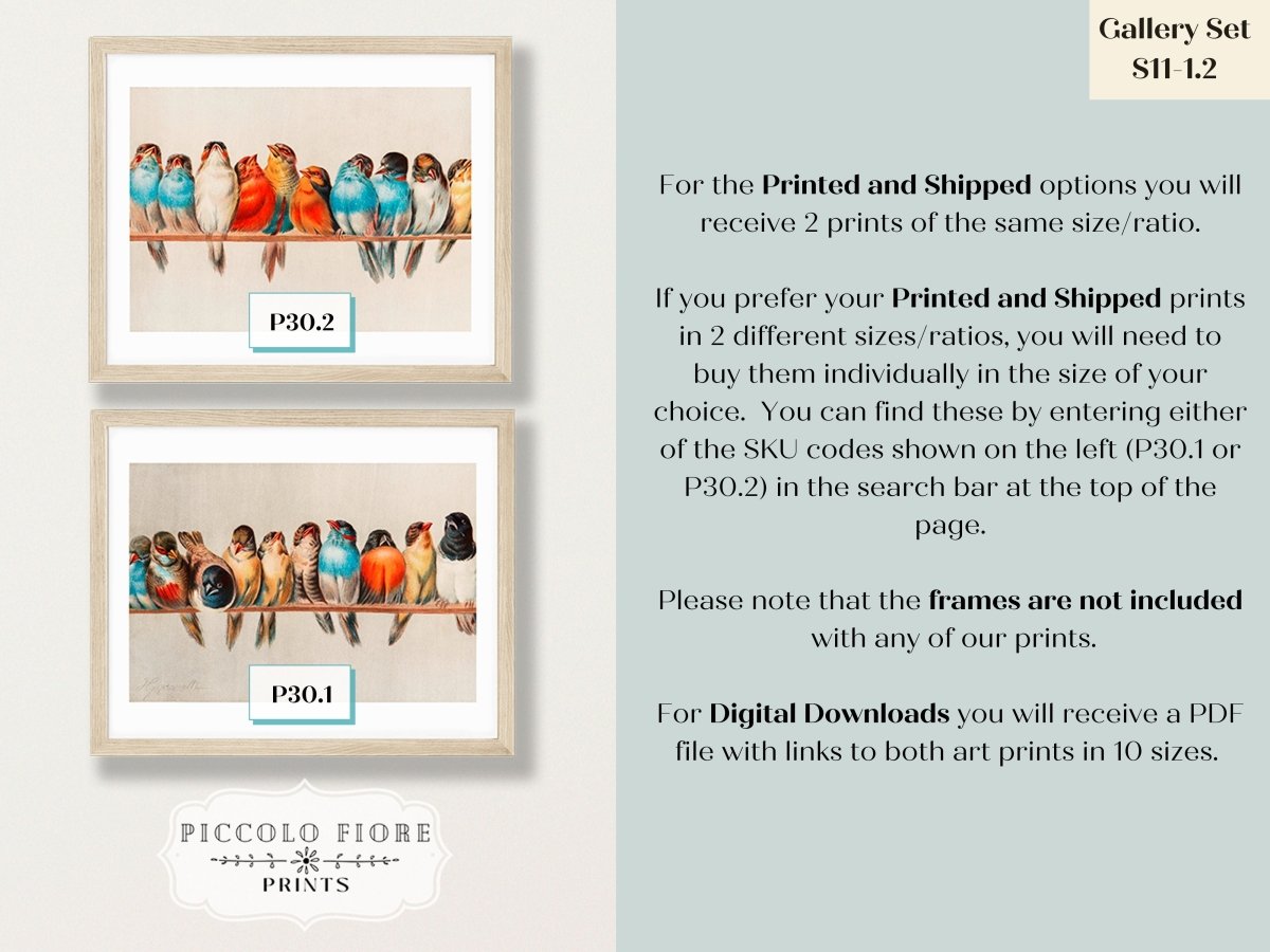 A Perch of Birds | Gallery Wall Set | 2 Prints | S11 - 1.2 - Gallery Wall Set - Piccolo Fiore Prints