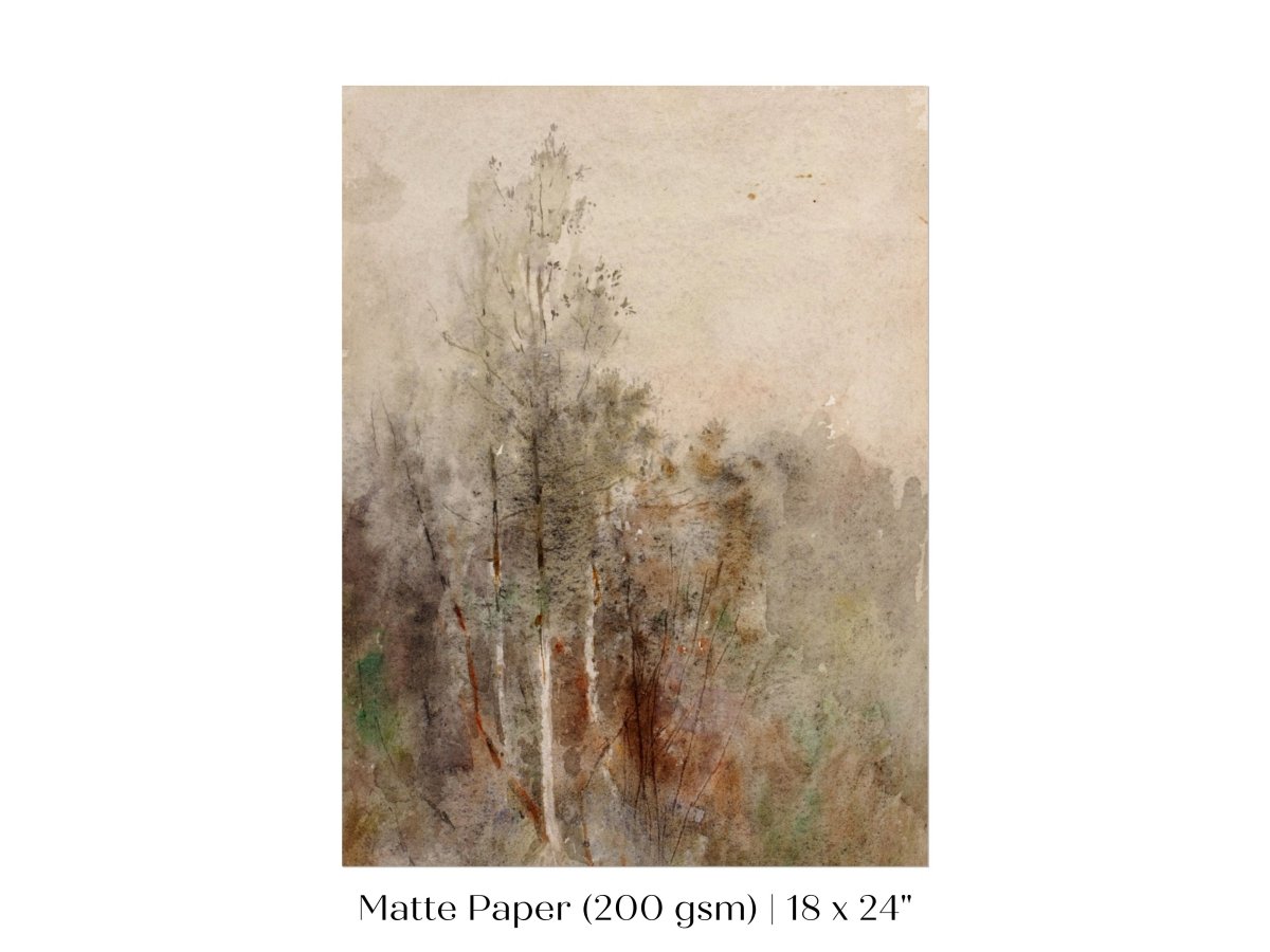 A Tree Study | P246 - Single Art Prints - Piccolo Fiore Prints