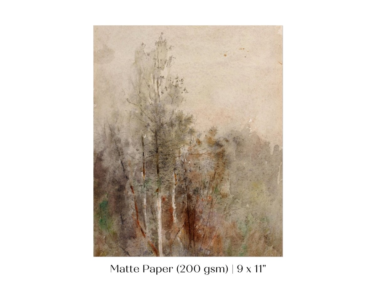 A Tree Study | P246 - Single Art Prints - Piccolo Fiore Prints