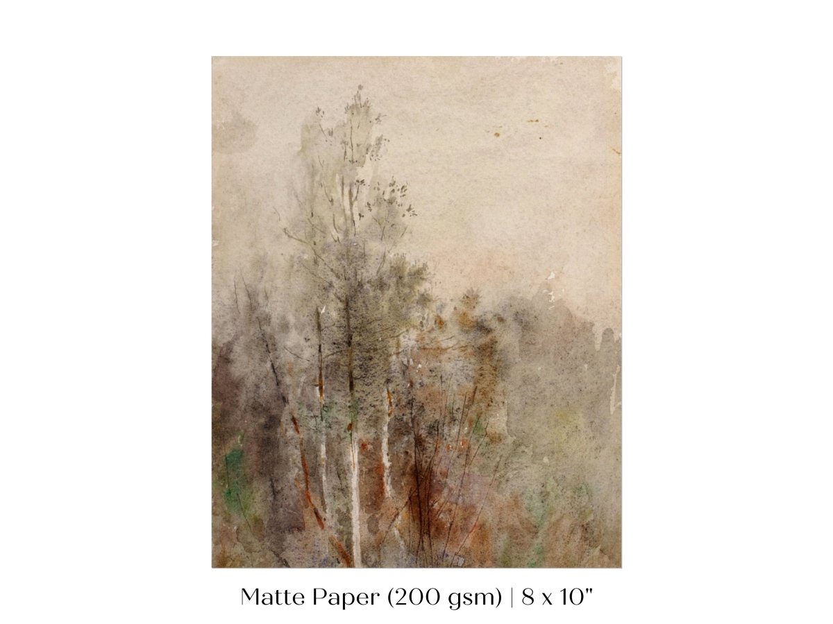 A Tree Study | P246 - Single Art Prints - Piccolo Fiore Prints