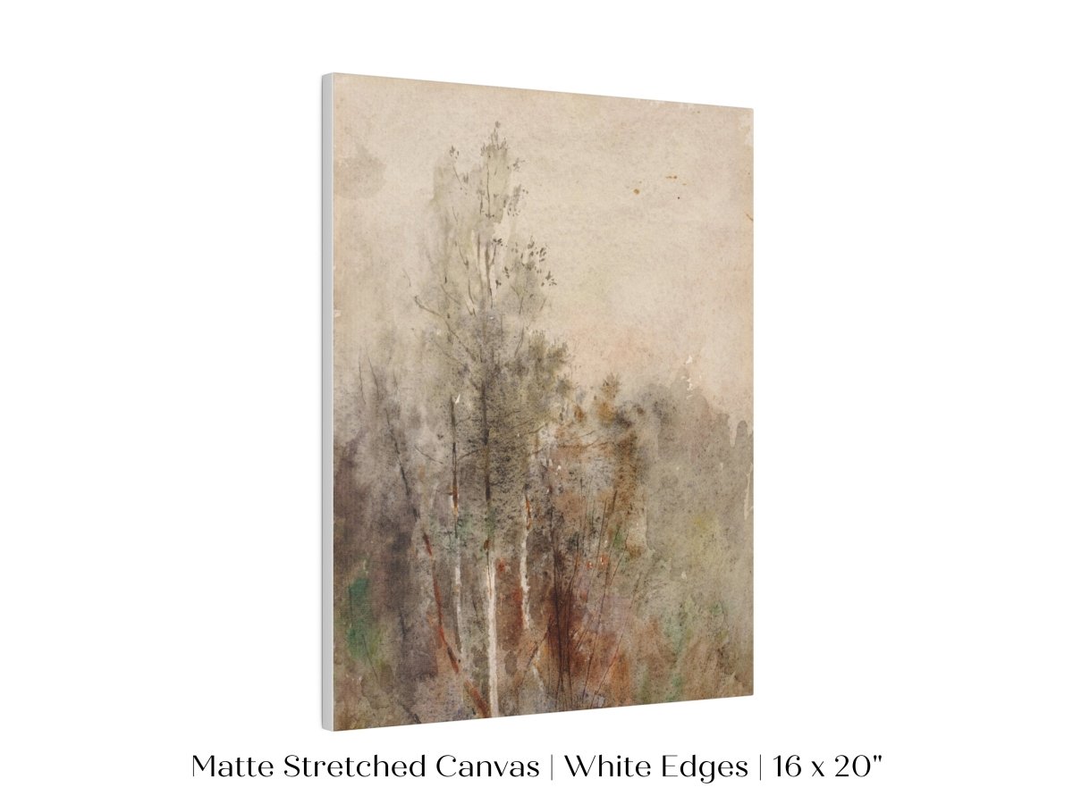 A Tree Study | P246 - Single Art Prints - Piccolo Fiore Prints