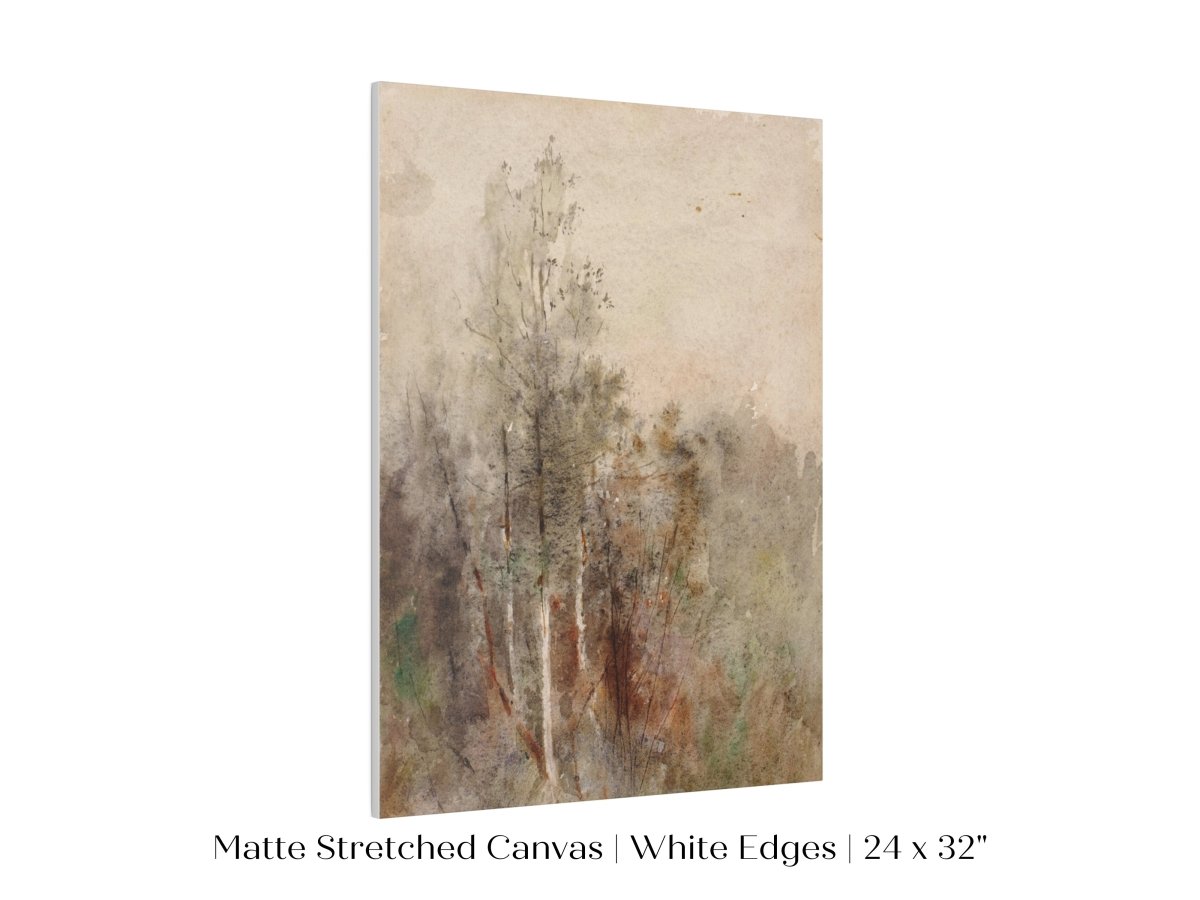 A Tree Study | P246 - Single Art Prints - Piccolo Fiore Prints