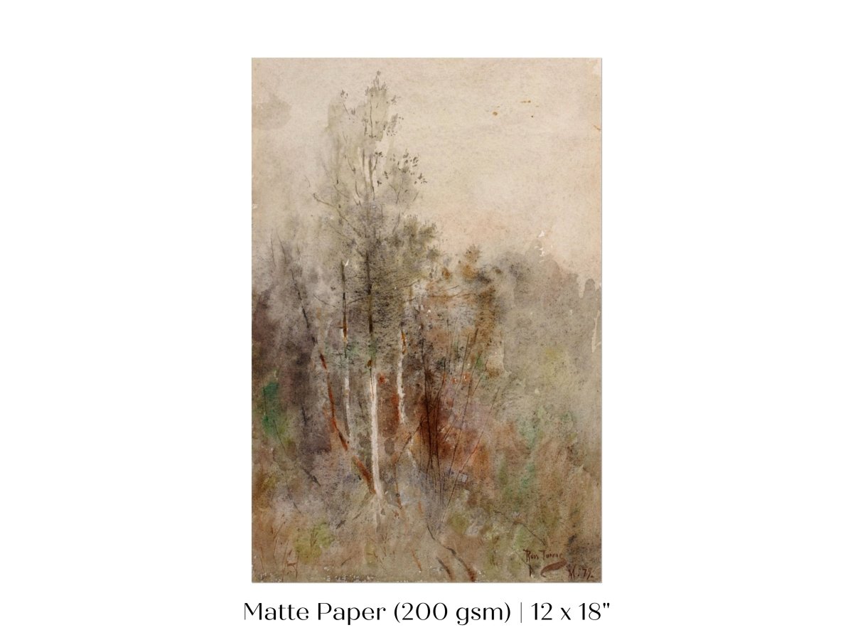 A Tree Study | P246 - Single Art Prints - Piccolo Fiore Prints