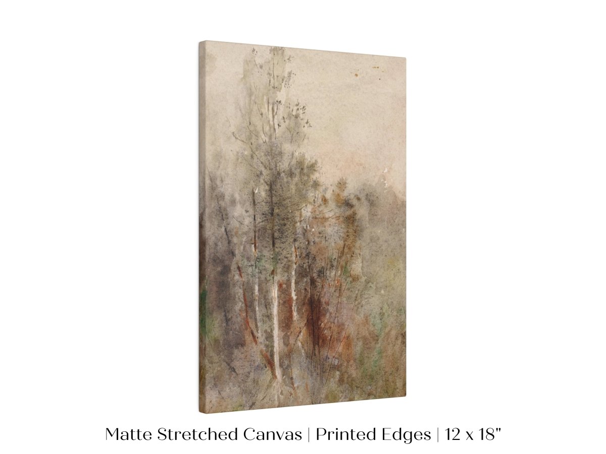 A Tree Study | P246 - Single Art Prints - Piccolo Fiore Prints