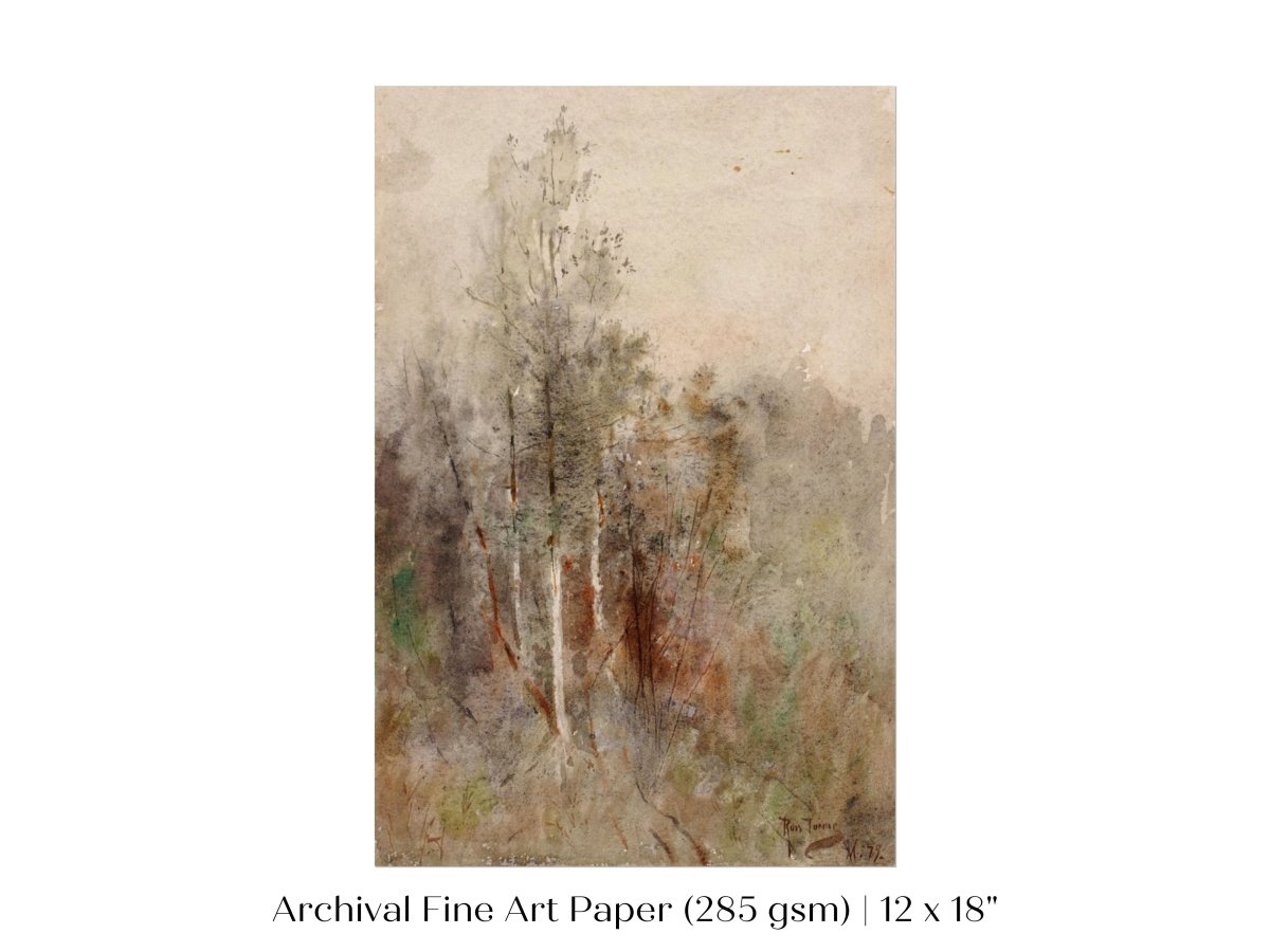 A Tree Study | P246 - Single Art Prints - Piccolo Fiore Prints