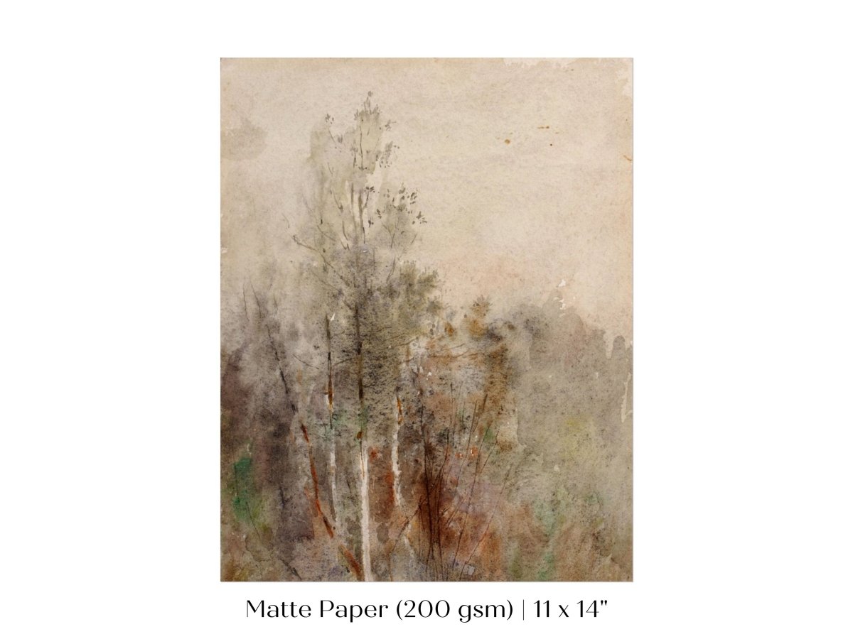 A Tree Study | P246 - Single Art Prints - Piccolo Fiore Prints
