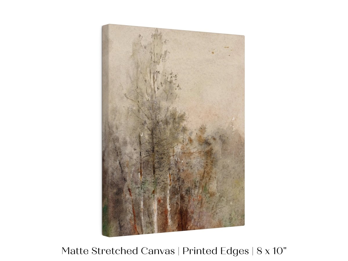 A Tree Study | P246 - Single Art Prints - Piccolo Fiore Prints
