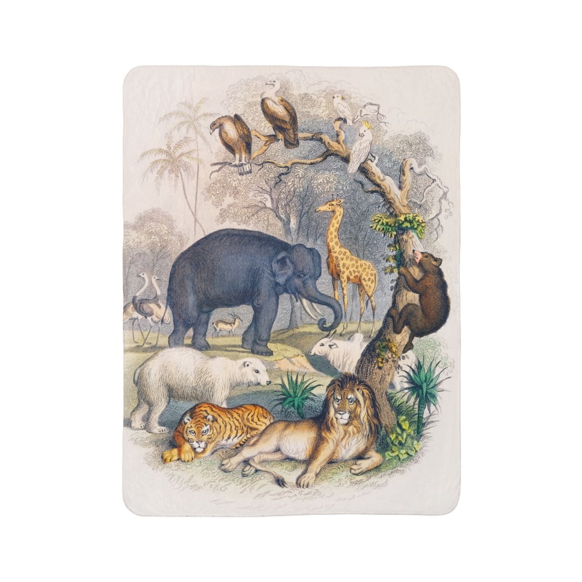 Animal Hangout | Fleece Sherpa Blanket - Sherpa Fleece Blanket - Piccolo Fiore Prints