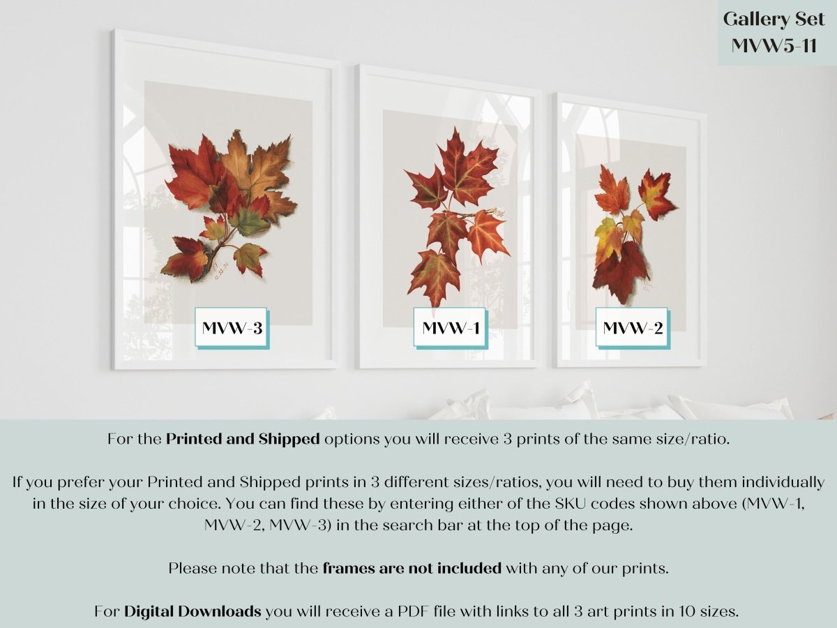 Autumn Leaves | Gallery Wall Set | 3 Prints | MVW - 1.1 - Gallery Wall Set - Piccolo Fiore Prints