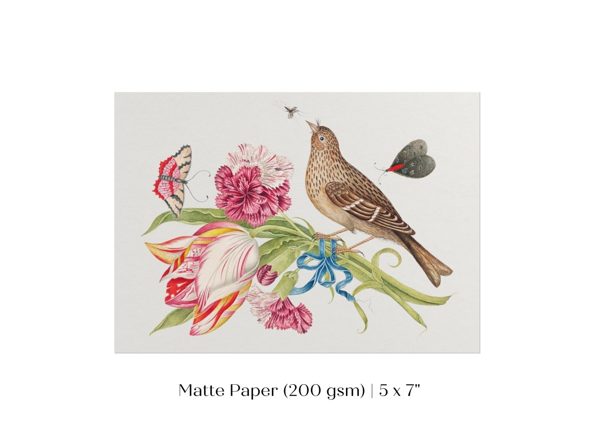Bird, Butterfly and Flowers Illustration | P165 - Single Art Prints - Piccolo Fiore Prints