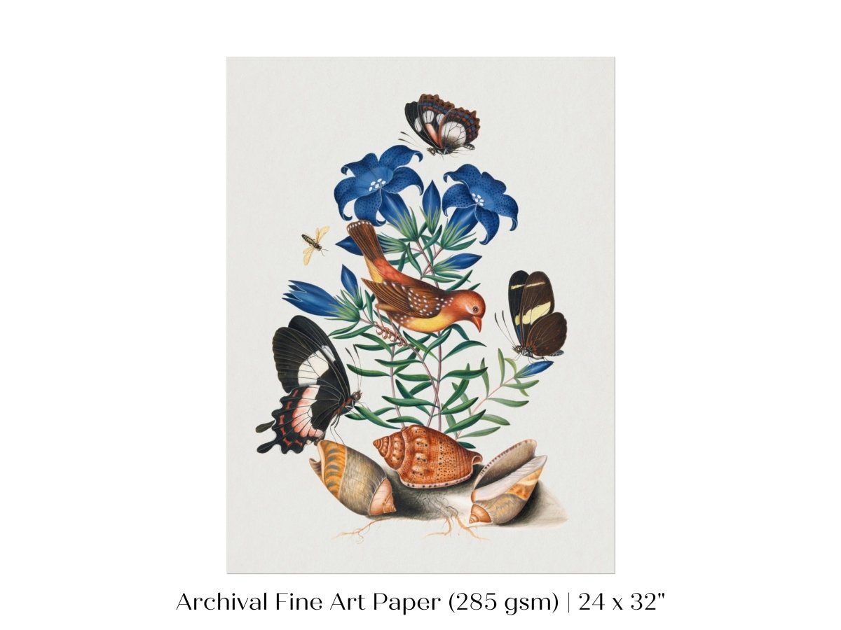 Bird, Shells and Butterflies | P158 - Single Art Prints - Piccolo Fiore Prints