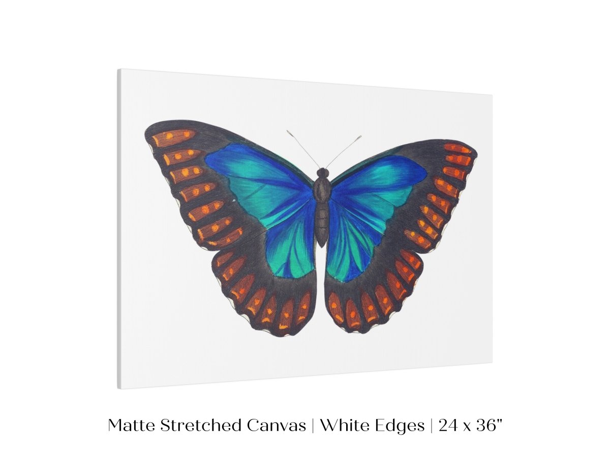 Blue and Turquoise Butterfly Illustration | P89 - Single Art Prints - Piccolo Fiore Prints