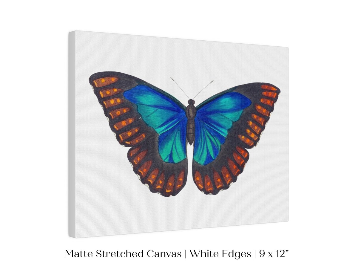 Blue and Turquoise Butterfly Illustration | P89 - Single Art Prints - Piccolo Fiore Prints