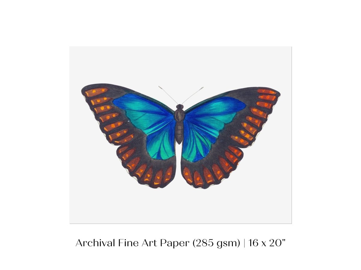 Blue and Turquoise Butterfly Illustration | P89 - Single Art Prints - Piccolo Fiore Prints