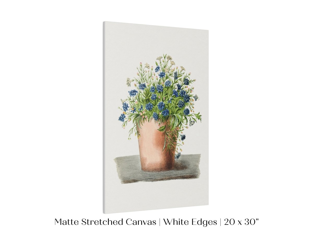 Blue Garden Lobelia in a Pot | P160 - Single Art Prints - Piccolo Fiore Prints
