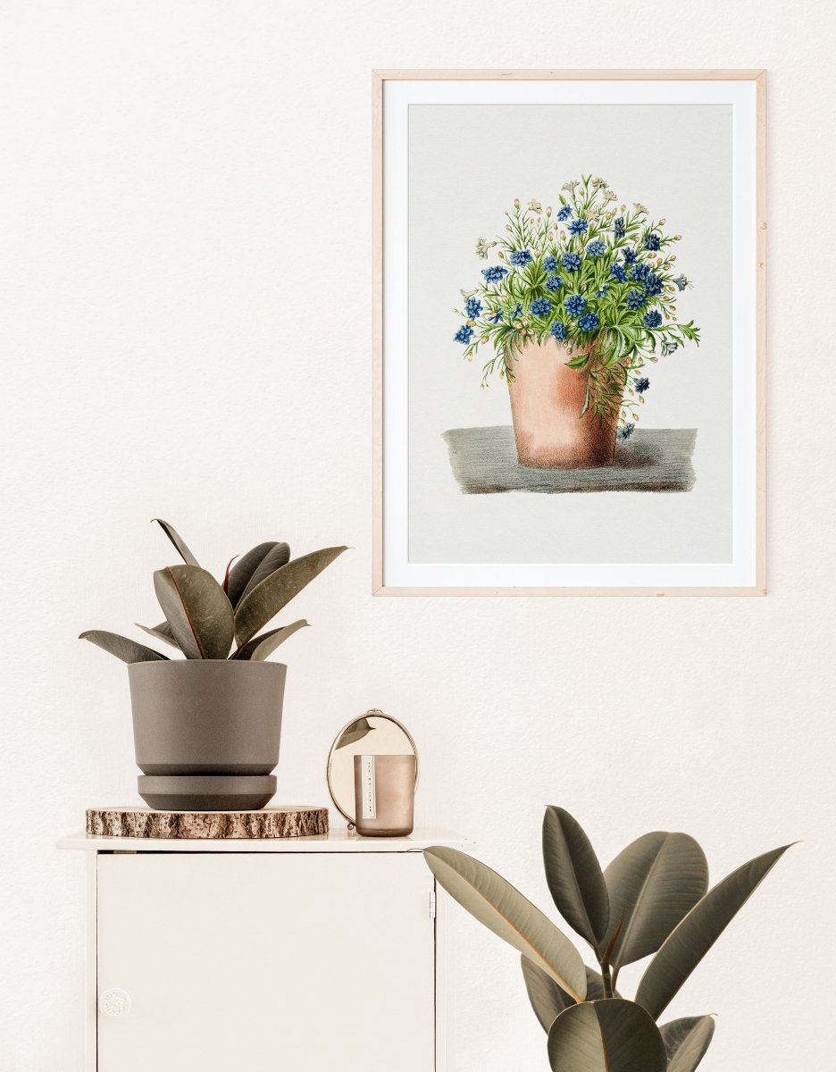 Blue Garden Lobelia in a Pot | P160 - Single Art Prints - Piccolo Fiore Prints