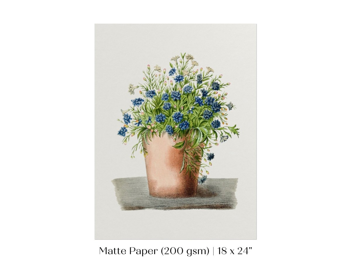 Blue Garden Lobelia in a Pot | P160 - Single Art Prints - Piccolo Fiore Prints