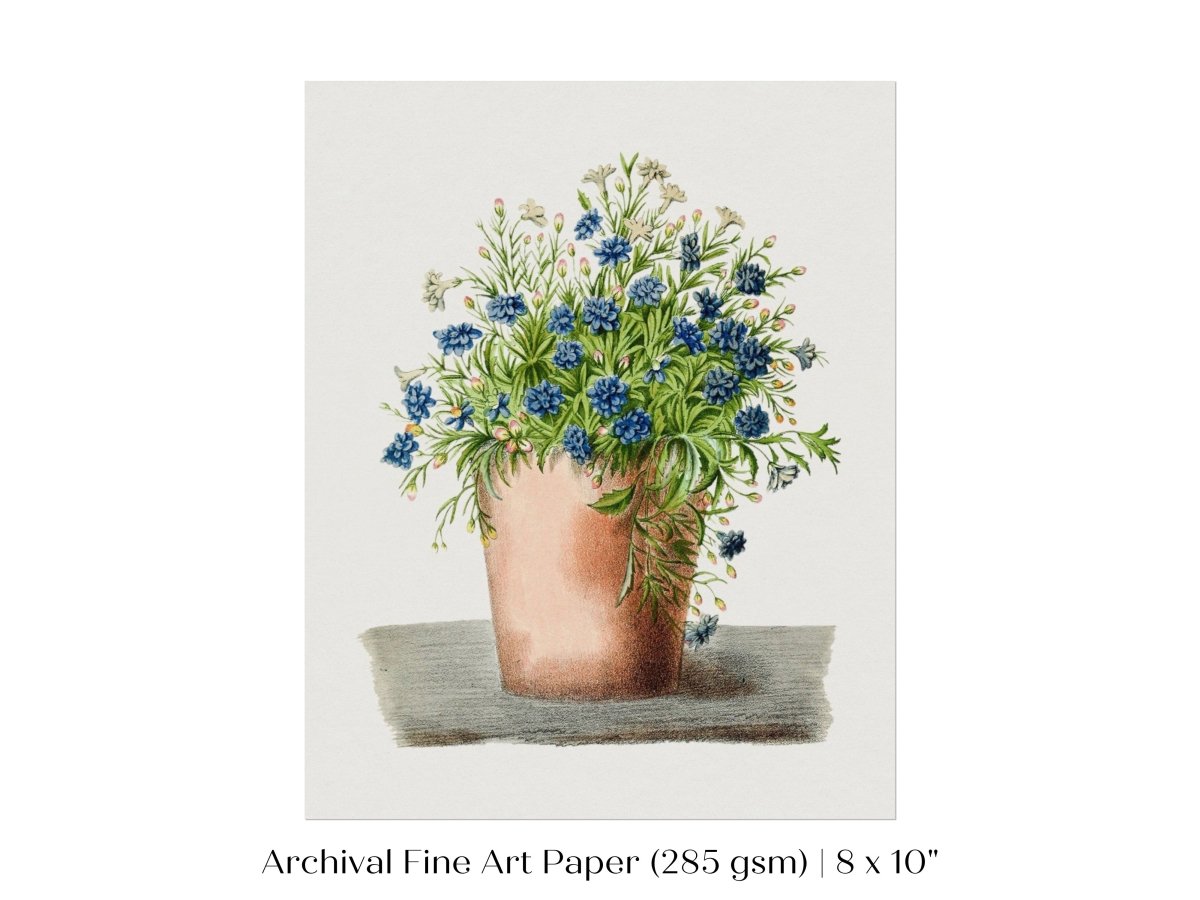 Blue Garden Lobelia in a Pot | P160 - Single Art Prints - Piccolo Fiore Prints