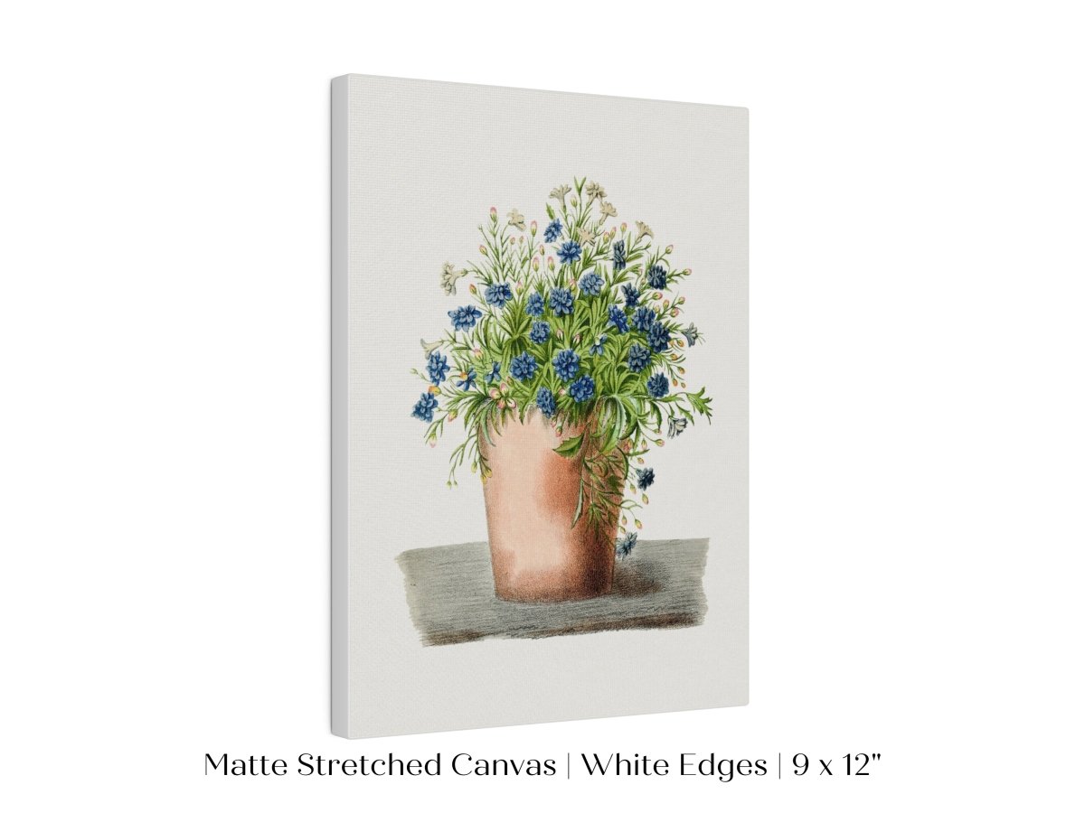Blue Garden Lobelia in a Pot | P160 - Single Art Prints - Piccolo Fiore Prints