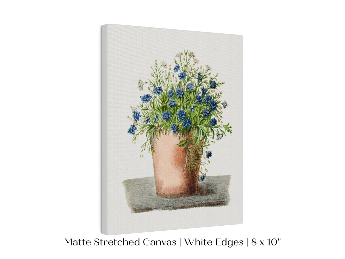 Blue Garden Lobelia in a Pot | P160 - Single Art Prints - Piccolo Fiore Prints
