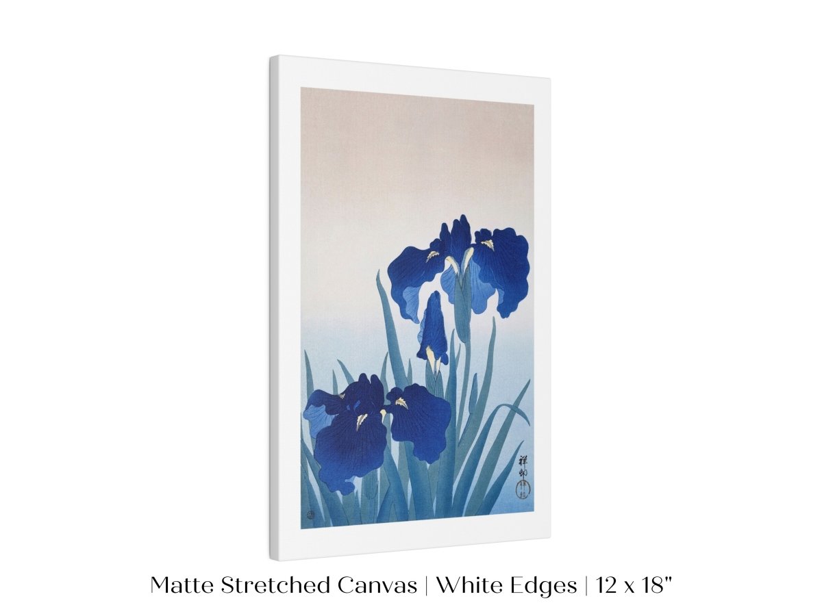 Blue Iris | Vintage Japanese Art | P156 - Single Art Prints - Piccolo Fiore Prints